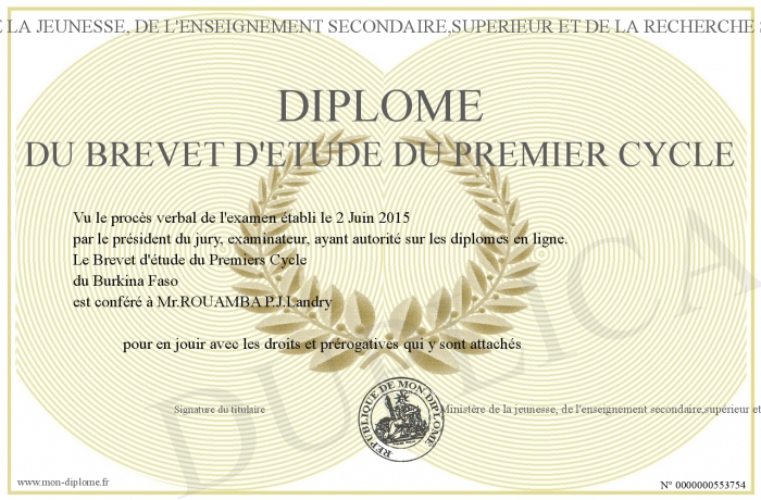 diplome universitaire de 1er cycle en informatique